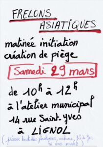 Piégeage frelon asiatique
