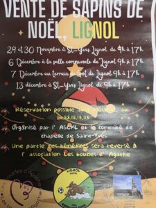 Vente de sapins saint Yves